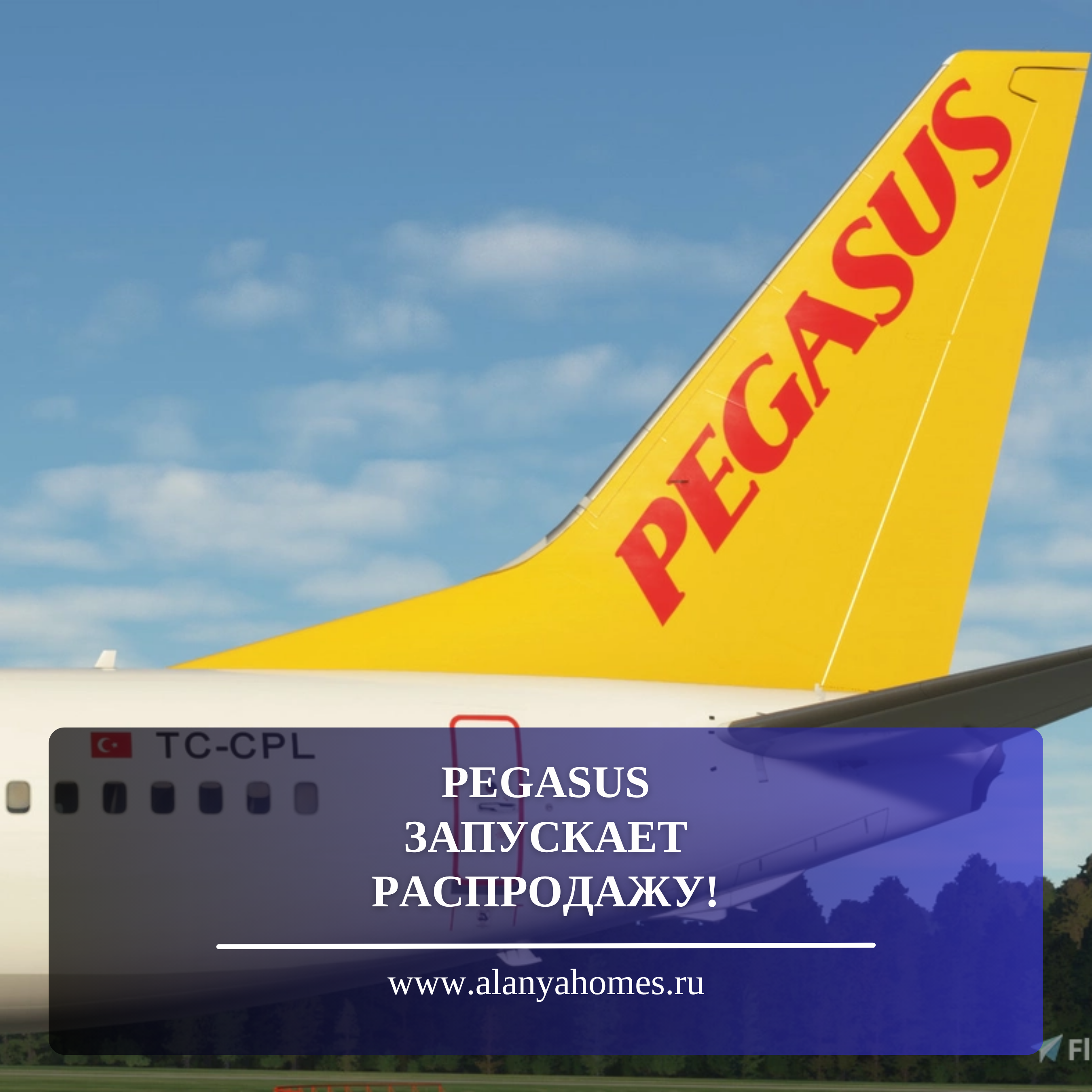 PEGASUS ROZPOCZYNA WYPRZEDAŻ!