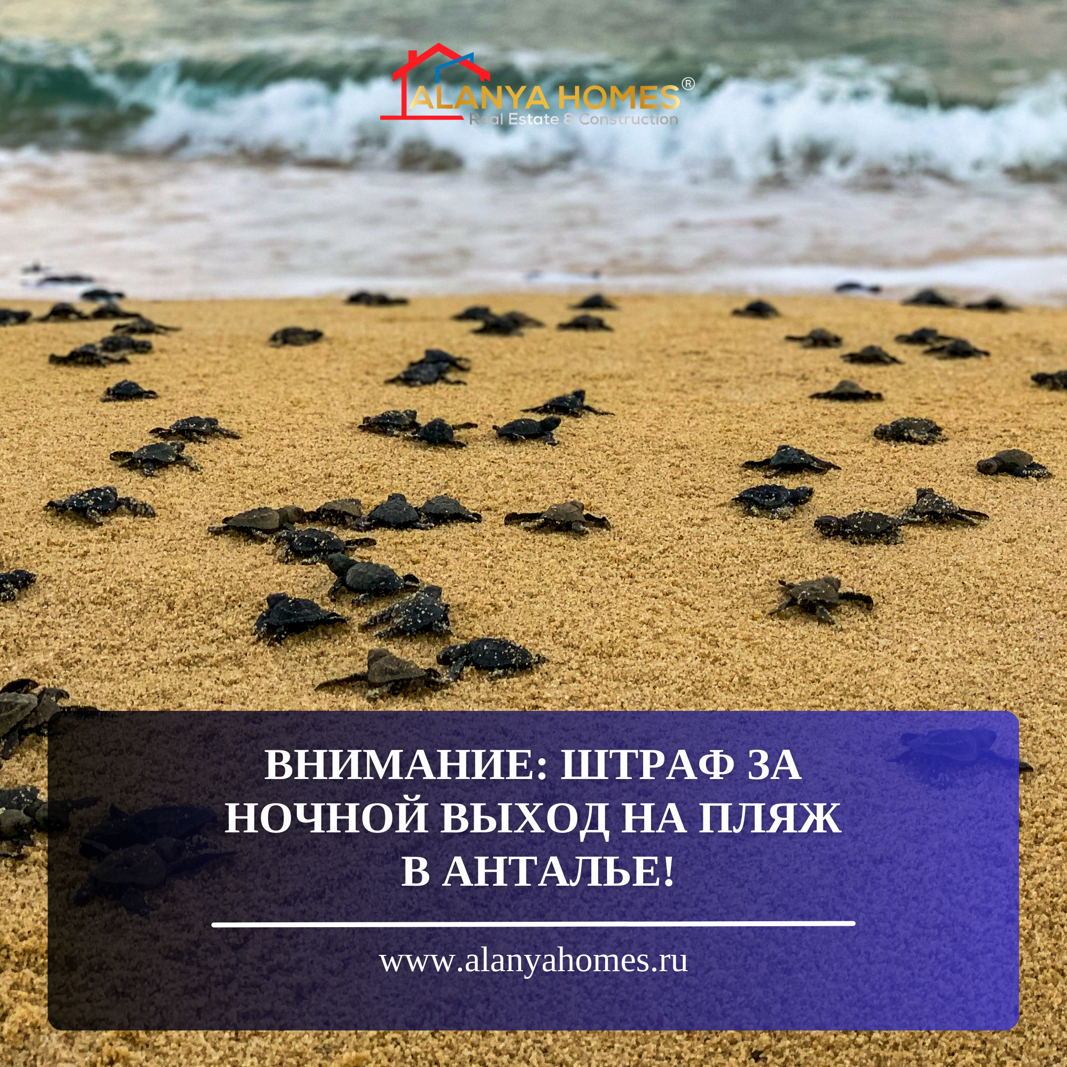 UWAGA: KARA ZA NOCNE WYJŚCIE NA PLAŻĘ W ANTALYI!