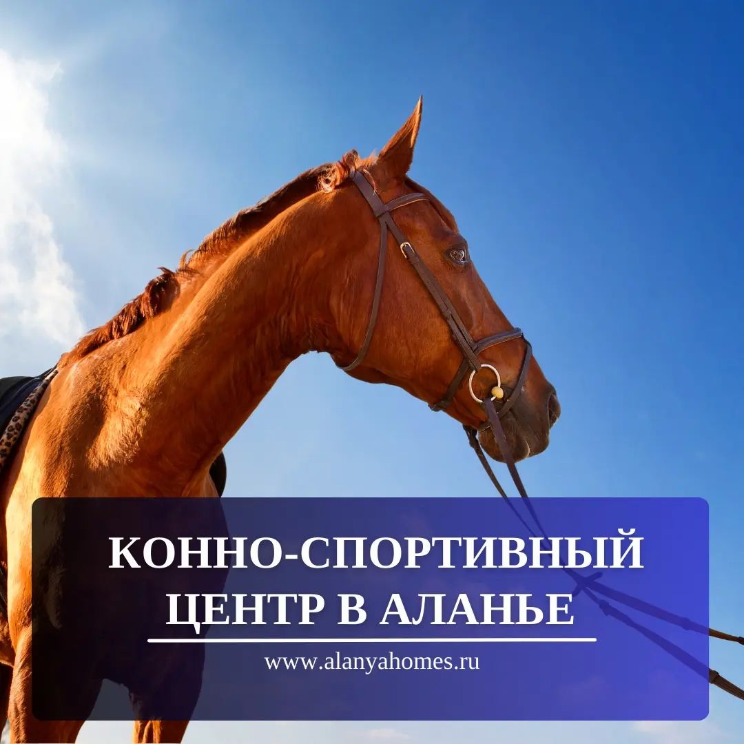 Конно-спортивный центр в Аланье