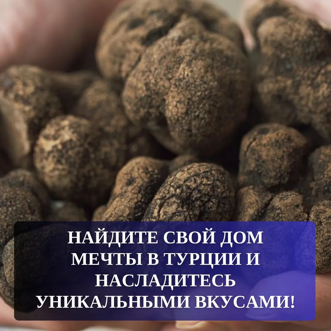 Найдите свой дом мечты в Турции и насладитесь уникальными вкусами!